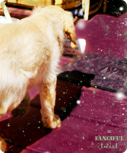 Miles Newspaper 7 Miles Newspaper 7