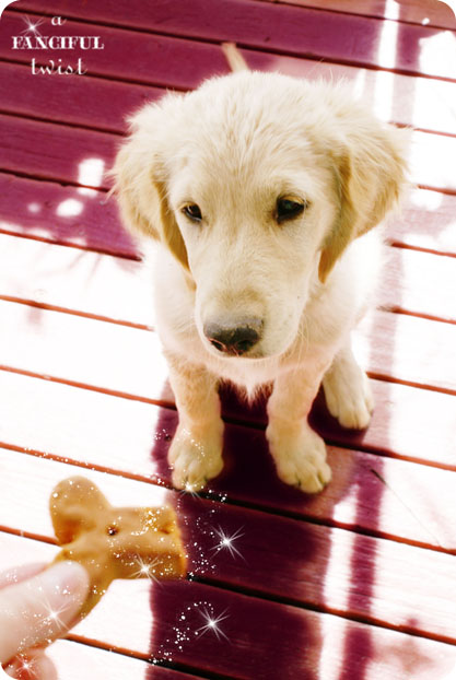 Miles Newspaper 6 Miles Newspaper 6