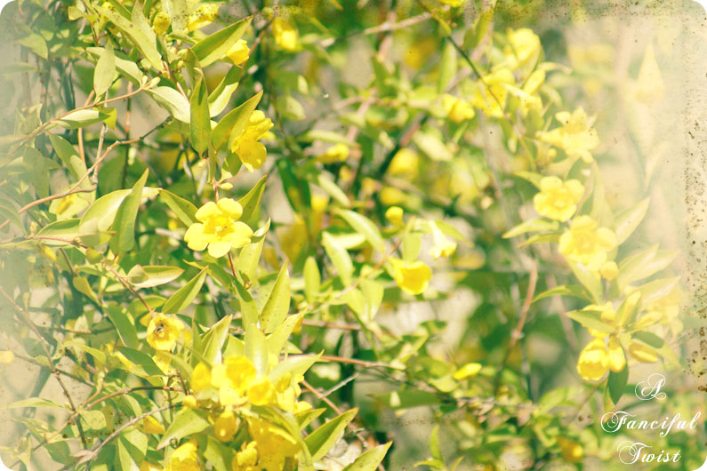 Springing 2 Springing 2