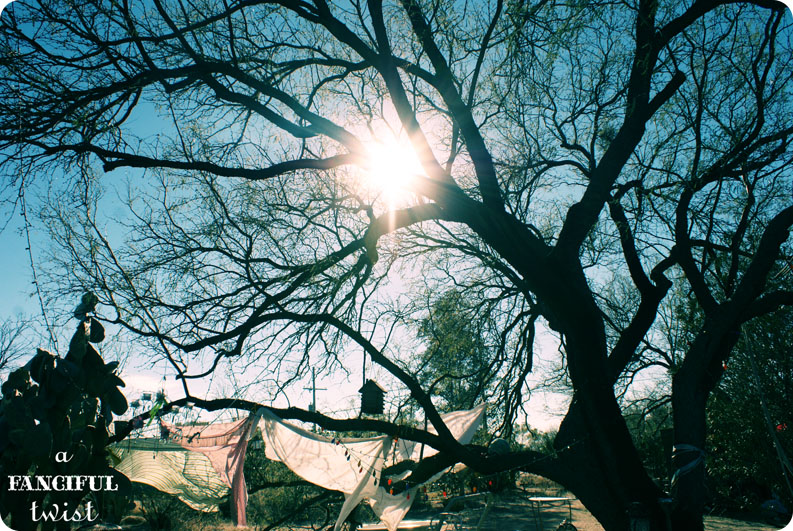 Collectibles and tidying 5 Collectibles and tidying 5