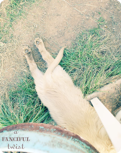 Collectibles and tidying 6 Collectibles and tidying 6