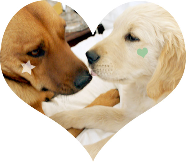 Collectibles and tidying 9 Collectibles and tidying 9