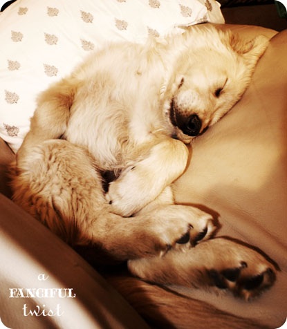 Collectibles and tidying 8 Collectibles and tidying 8