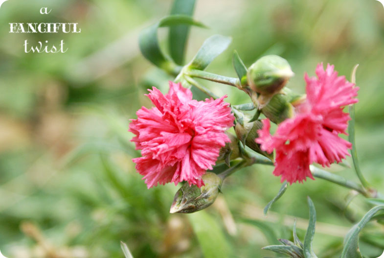 Collectibles and tidying 11 Collectibles and tidying 11