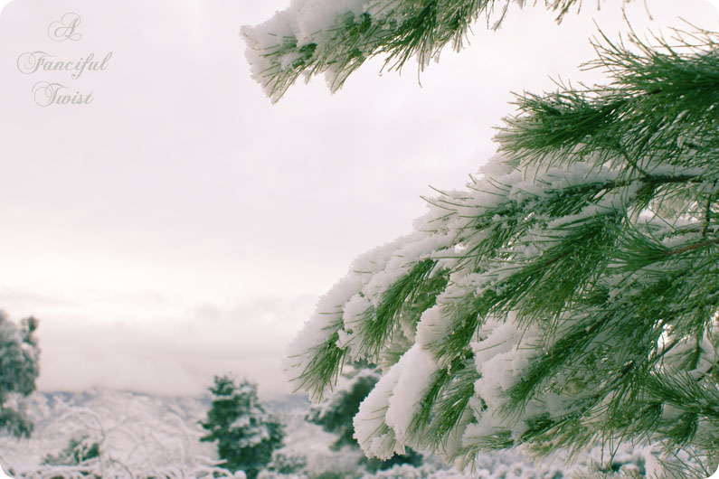 Desert southwest snow 2011 8 Desert southwest snow 2011 8