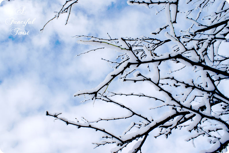 Desert southwest snow 2011 5 Desert southwest snow 2011 5