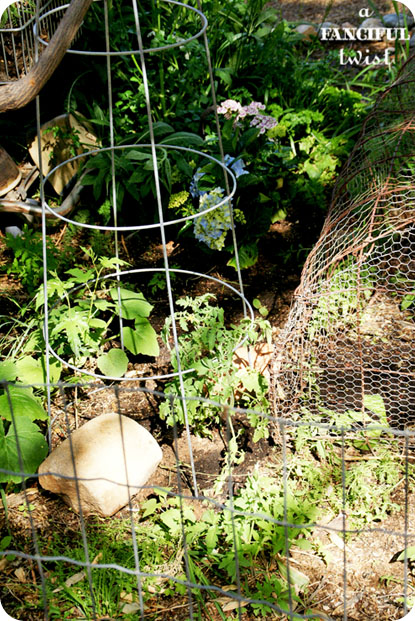Grow green 14 Grow green 14
