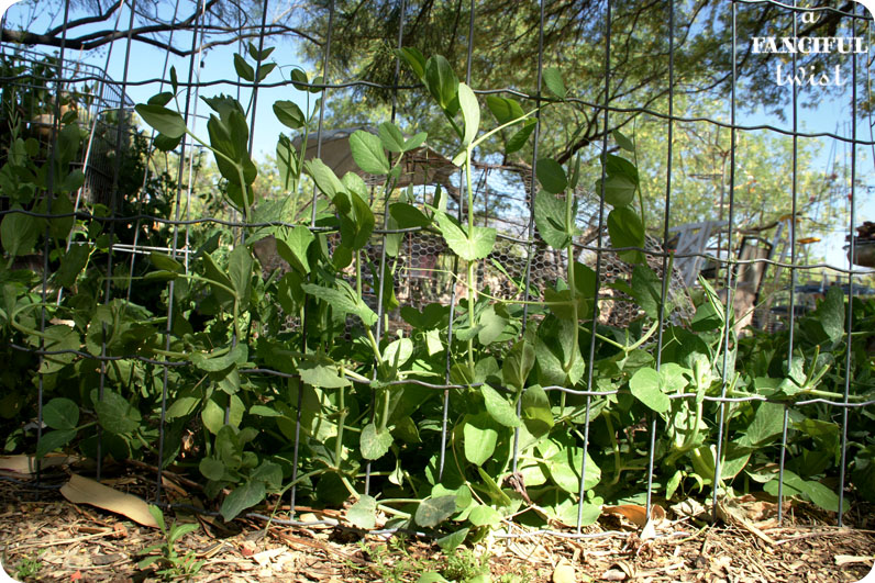 Grow green 4 Grow green 4