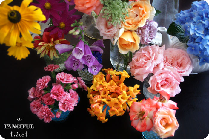 From my garden 4 From my garden 4