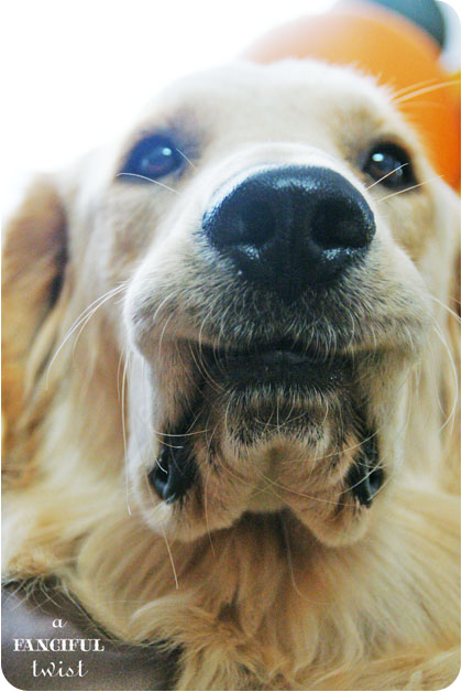 Welcome autumn 6 Welcome autumn 6