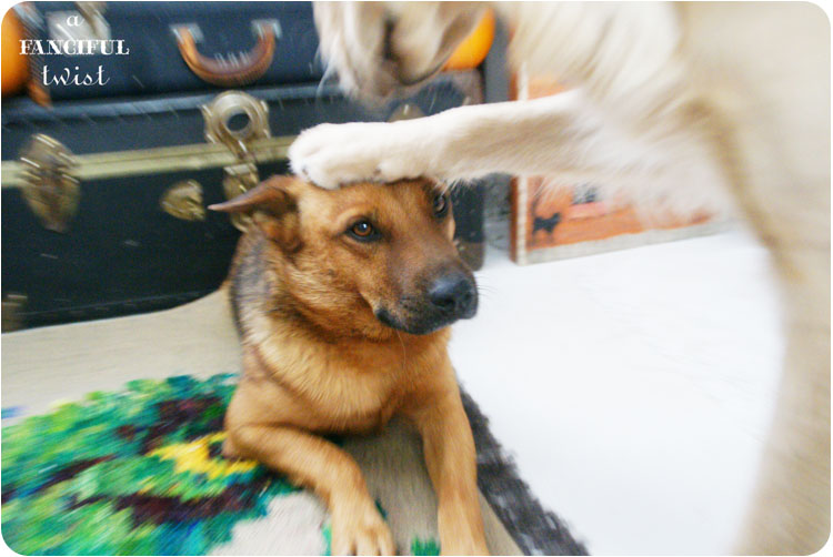 Welcome autumn 2 Welcome autumn 2