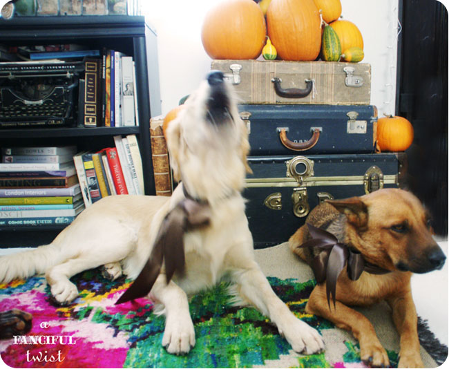 Welcome autumn 8 Welcome autumn 8