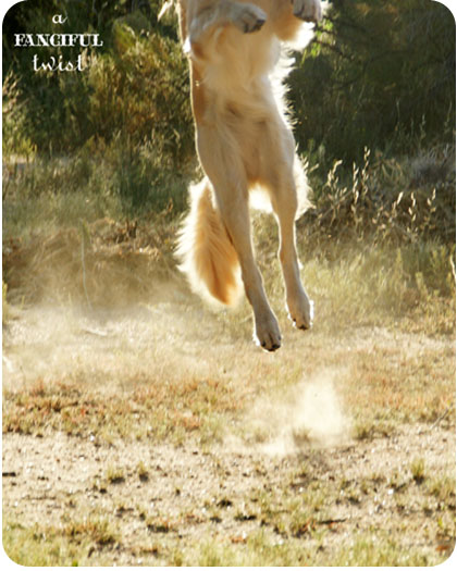 Welcome autumn 10 Welcome autumn 10