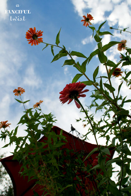 Heart love 19 Heart love 19