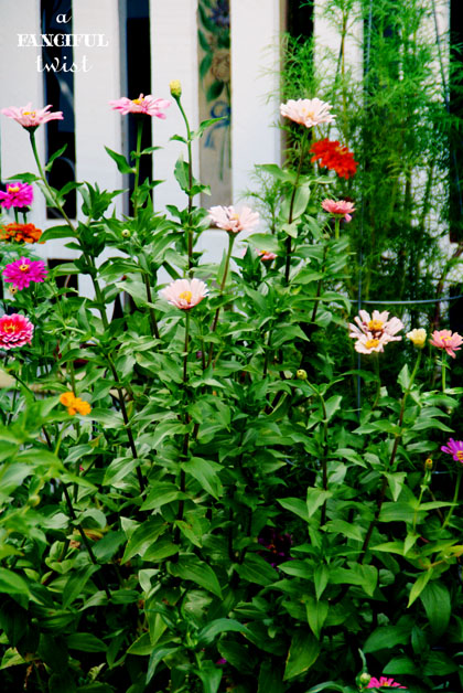 Heart love 11 Heart love 11