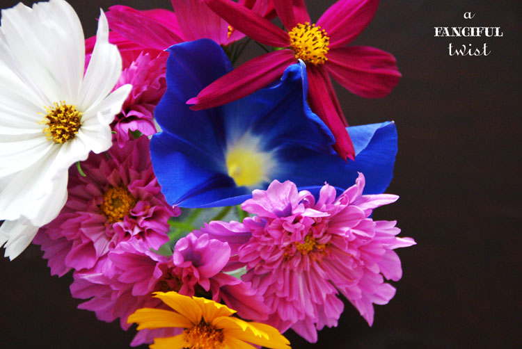 Heart love 35 Heart love 35