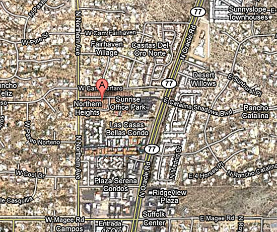 Dog Missing Tucson Oro Valley Northern Heights Dog Missing Tucson Oro Valley Northern Heights