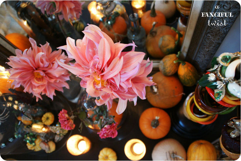 Autumn feel 3 Autumn feel 3