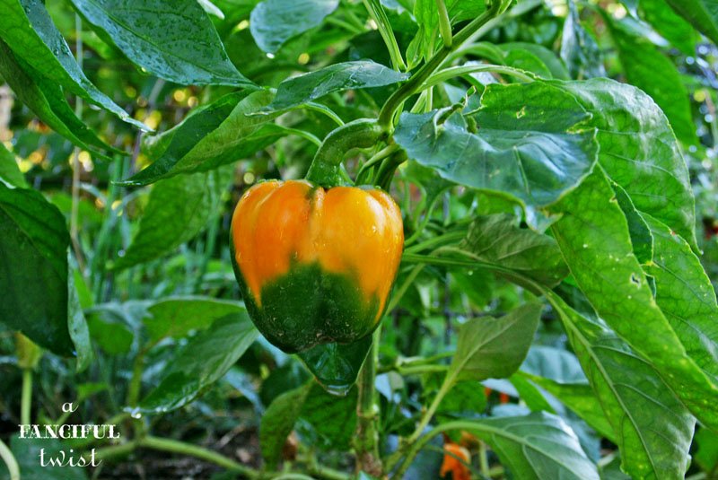 October Treats 6 October Treats 6