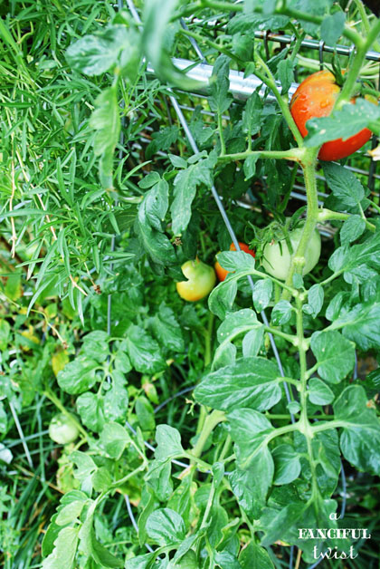 October Treats 13 October Treats 13