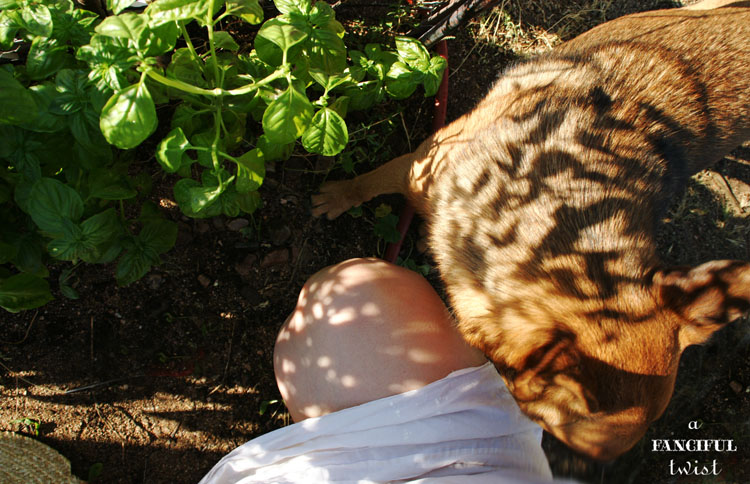 October Treats 10 October Treats 10