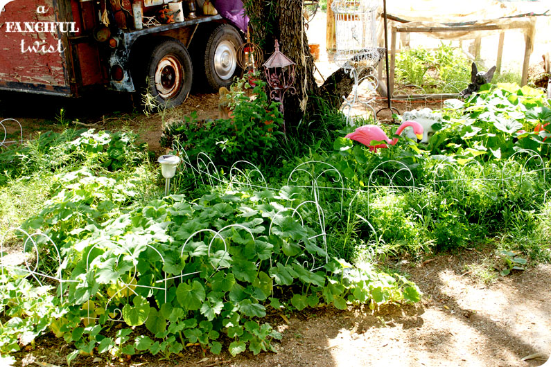 Grow green 13 Grow green 13