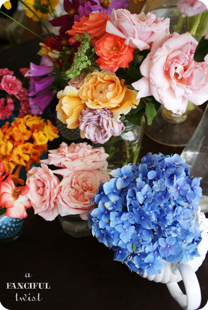 From my garden 2 From my garden 2