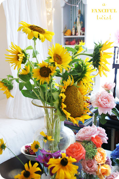 From my garden 6 From my garden 6