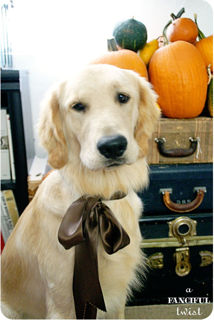 Welcome autumn 1 Welcome autumn 1