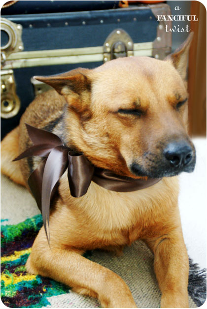 Welcome autumn 9 Welcome autumn 9