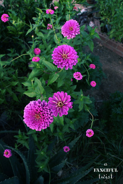 Heart love 13 Heart love 13