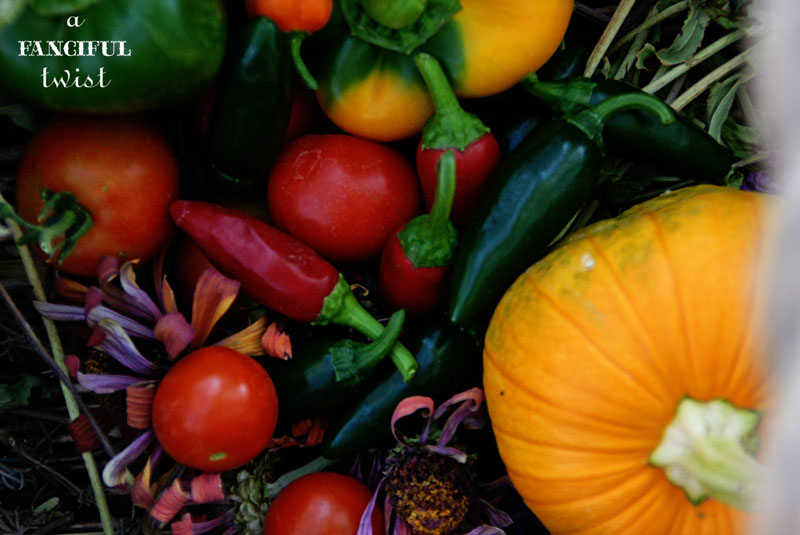 October Treats 1 October Treats 1