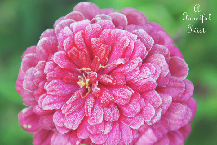 Good day 17 Good day 17