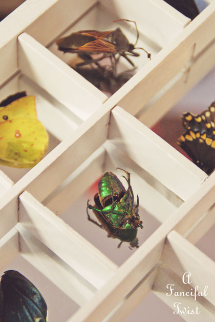 Good day 4 Good day 4