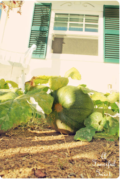 Peaceful 9 Peaceful 9