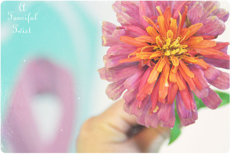 Peaceful 7 Peaceful 7