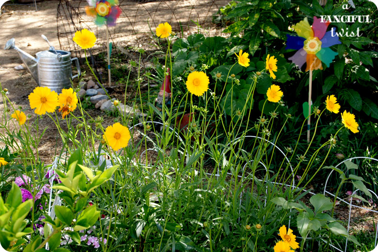 Grow green 3 Grow green 3