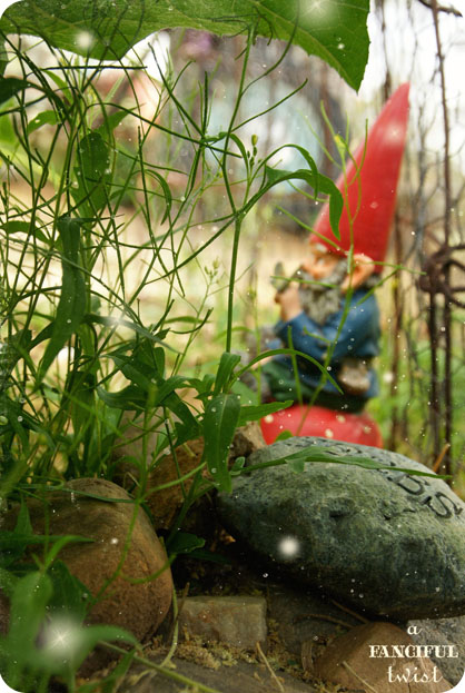 Gnomes and rabbits 10