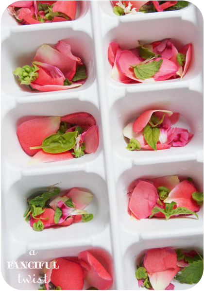 Flower ice cubes 8