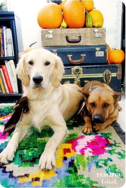 Welcome autumn 3a Welcome autumn 3a