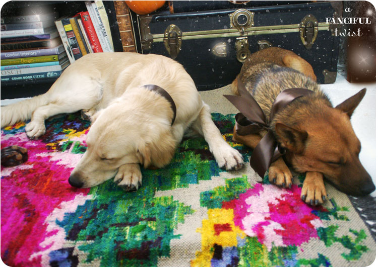 Welcome autumn 5 Welcome autumn 5