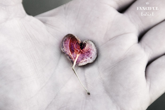 Heart love 1 Heart love 1