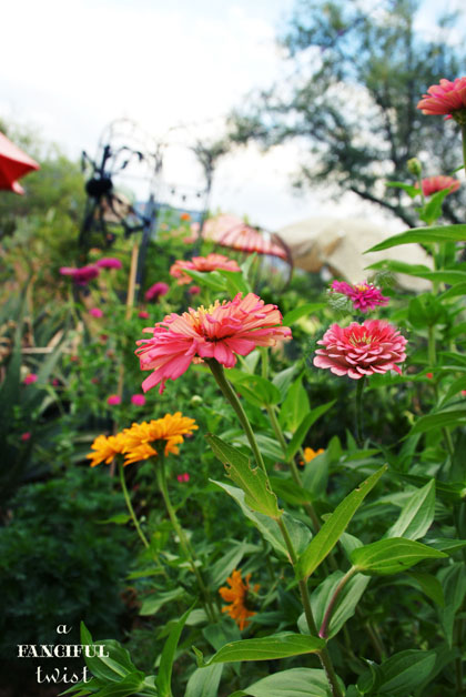 Heart love 29 Heart love 29