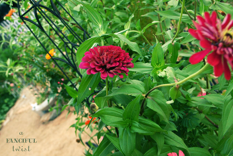 Heart love 16 Heart love 16