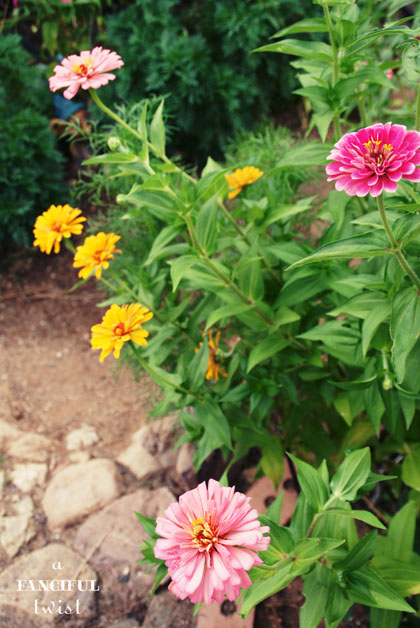 Heart love 22 Heart love 22