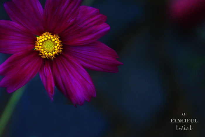 Heart love 10 Heart love 10