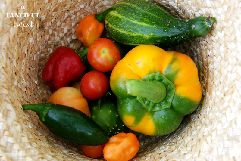 October Treats 4 October Treats 4