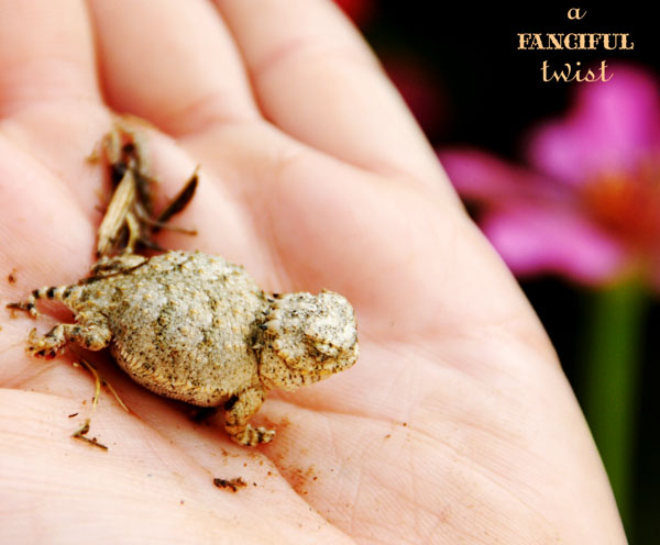 October Treats 12 October Treats 12