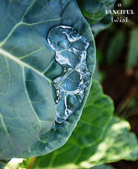 October Treats 2 October Treats 2