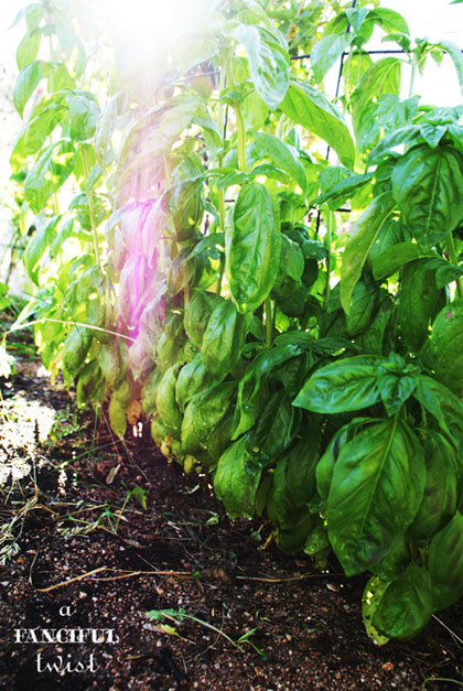 October Treats 11 October Treats 11